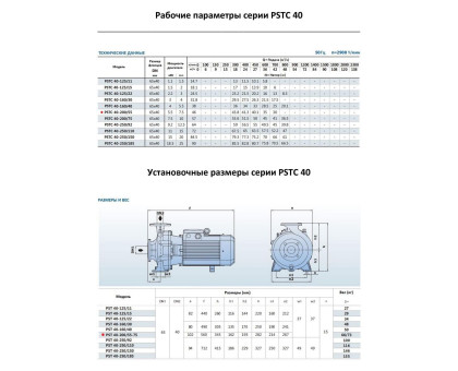 Насосный агрегат моноблочный фланцевый PURITY PSTC 40-200/55