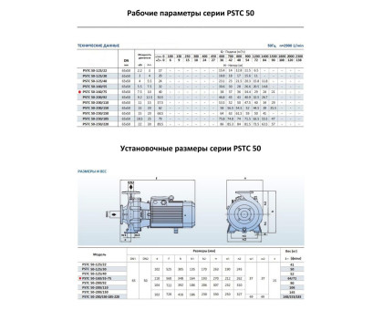 Насосный агрегат моноблочный фланцевый PURITY PSTC 50-160/75