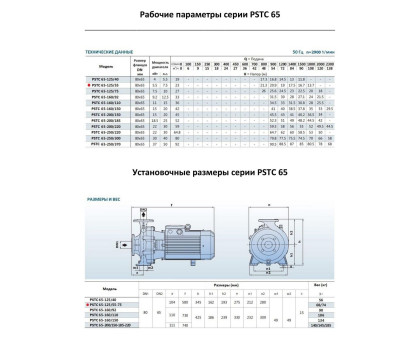 Насосный агрегат моноблочный фланцевый PURITY PSTC 65-125/55